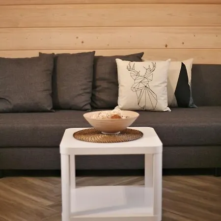 Willa Przy Skoczni 2 Apartment *