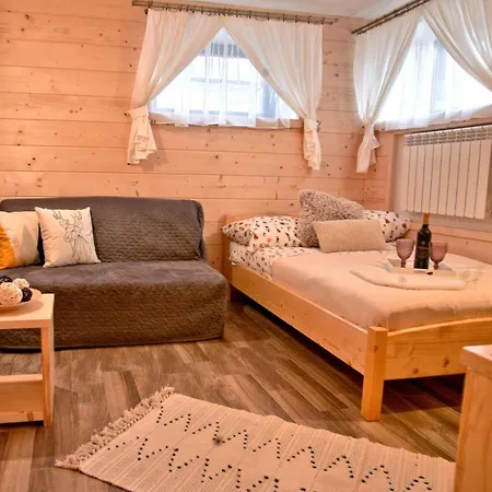 Willa Przy Skoczni 2 Apartment