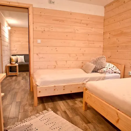 Apartment Willa Przy Skoczni 2 *